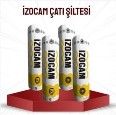 ÇATI ŞİLTESİ