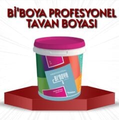 BiBoya Profesyonel  Tavan Boyası