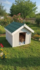 Köpek Kulubesi